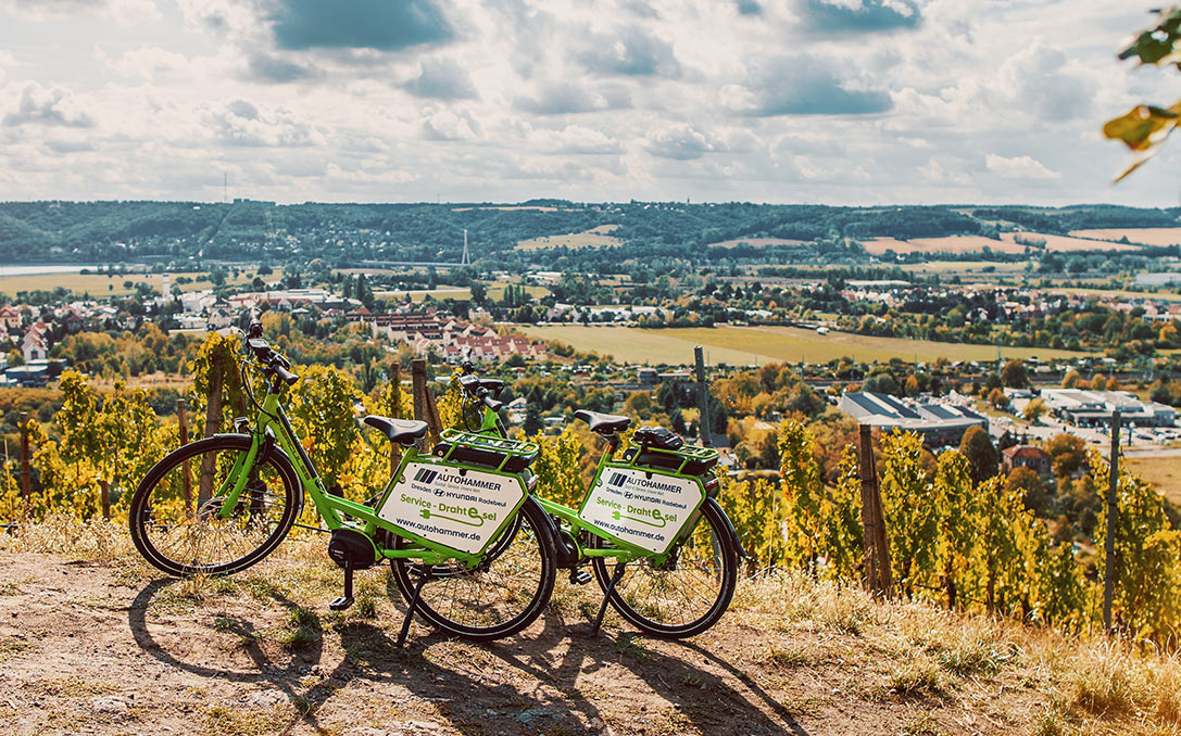 Zwei E-Bikes auf dem Weinberg 