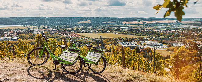 Weinberge mit E-Bikes
